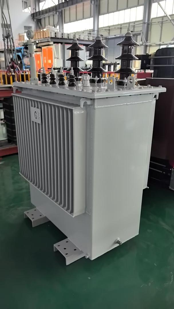 Маслен трансформатор 1000kVA,10(6)/0,4kV, dyn5, imp.6%, ONAN, Ak- 7600W , AAo- 693W